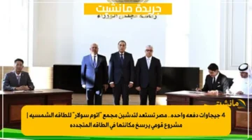 4 جيجاوات دفعة واحدة.. مصر تستعد لتدشين مجمع أتوم سولار للطاقة الشمسية مشروع قومي يرسخ مكانتها في الطاقة المتجددة 1